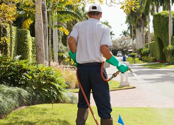 About Bayville NY Pest Control